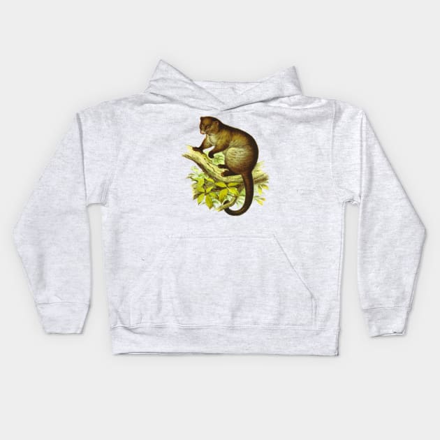 Possum Kids Hoodie by Suva